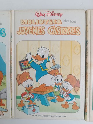 Los jóvenes castores