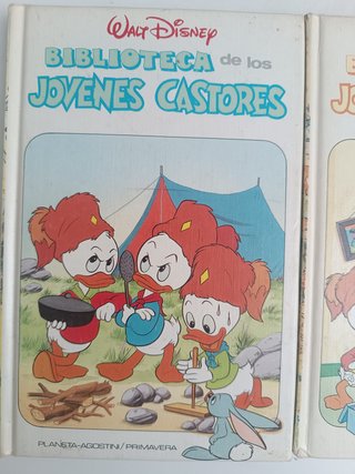 Los jóvenes castores