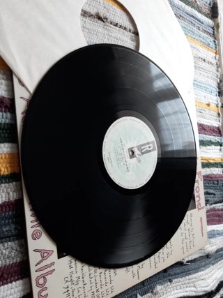 Vinilo bevis frond