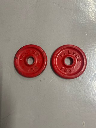 2 Discos pesas Salter 1 kg