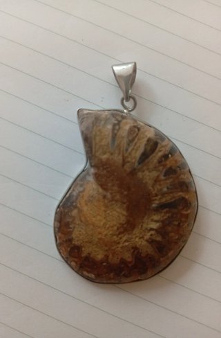 Colgante Amonita Fósil Marrón y Plata