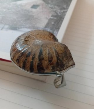 Colgante Amonita Fósil Marrón y Plata