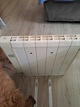 Radiador eléctrico de calor