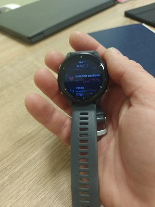Reloj Garmin Forerunner 255