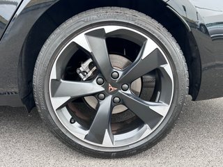 CUPRA Leon SP 1.5 ETSI DSG7 150CV