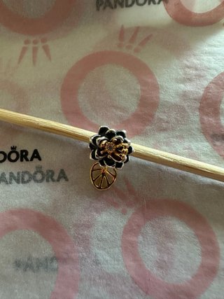 Charm  Fiore con Foglia principessa Tiana
