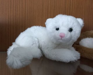 Peluche gatti morbidi