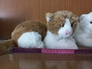 Peluche gatti morbidi