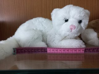 Peluche gatti morbidi