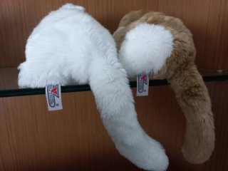 Peluche gatti morbidi
