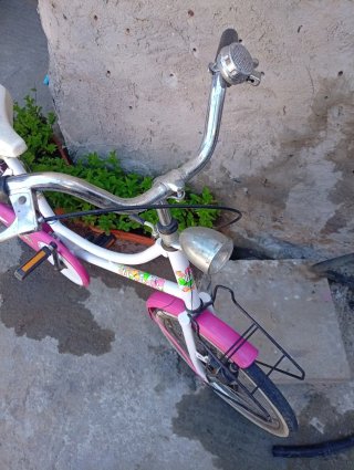 Bicicleta infantil paseo rosa