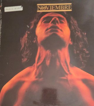 Lote Vinilos Pop Rock Internacional y Nacional