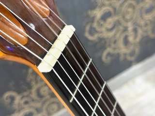 Guitarra Admira Sara EC con Funda