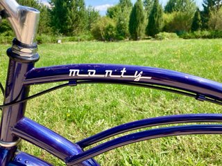 Bicicleta Paseo, estilo cruiser