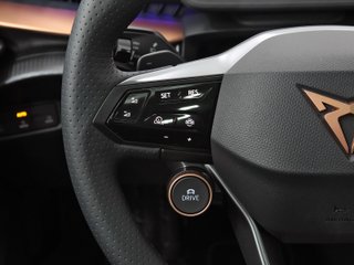 CUPRA TAVASCAN endurance