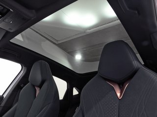 CUPRA TAVASCAN endurance