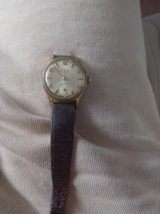 Reloj Action Dorado y Marrón