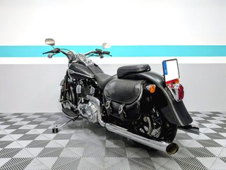 H-D SOFTAIL SPRINGER CLASSIC - 2005 - 44.547KM