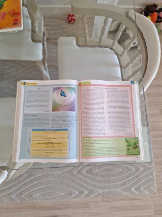 Lengua castellana y literatura, 1 bachillerato