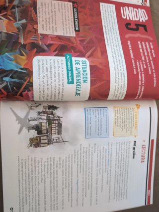 Lengua Castellana, 2 ESO, Programa Carmen de Bu...