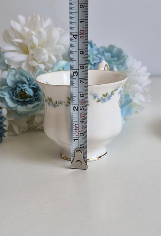 Taza y platillo de porcelana inglesa