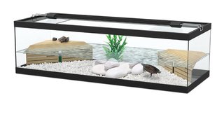 Acuaterrario/Tortuguero 100cm