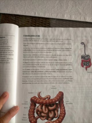 Biología y Geología 3, Secundaria, Fanfest Edel...