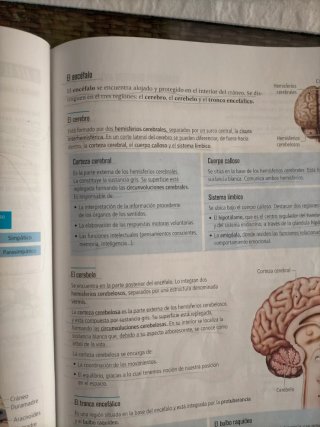 Biología y Geología 3, Secundaria, Fanfest Edel...