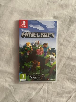 Minecraft Nintendo Switch