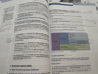 Biología celular y Metabolismo: Manual de Biología