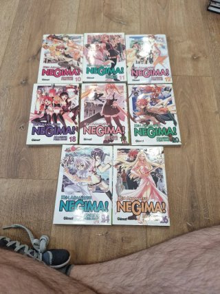 Negima! Magister Negi Magi lote