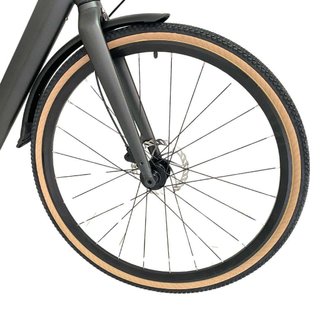 Fiido C21 Bici Eléctrica Urbana