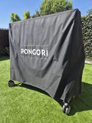 Mesa de ping pong azul Sport 240