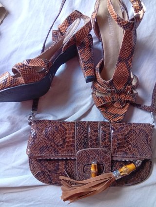 Conjunto Zapatos y Bolso Estampado Serpiente