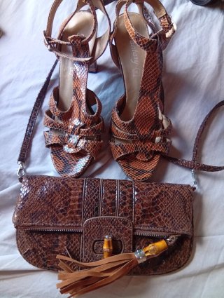 Conjunto Zapatos y Bolso Estampado Serpiente