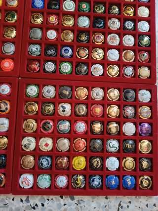 Colección Chapas Champán