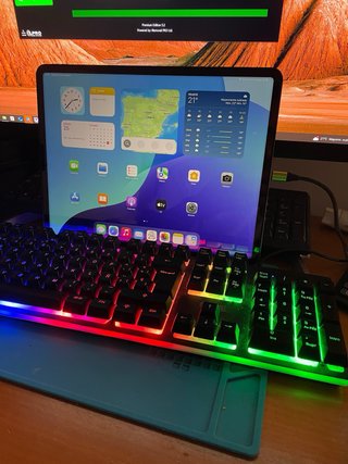 iPad y Apple Watch