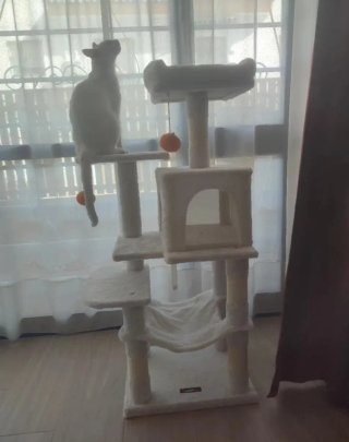 Torre para gatos Feandrea blanco crema