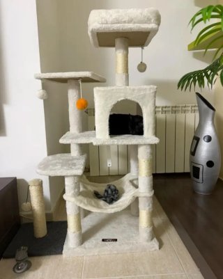 Torre para gatos Feandrea blanco crema