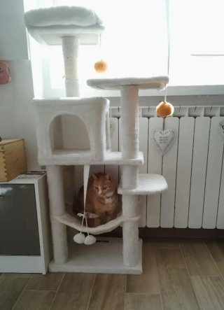 Torre para gatos Feandrea blanco crema