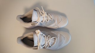 Zapatillas Indoor Nike Zoom Hyperspeed Court SE
