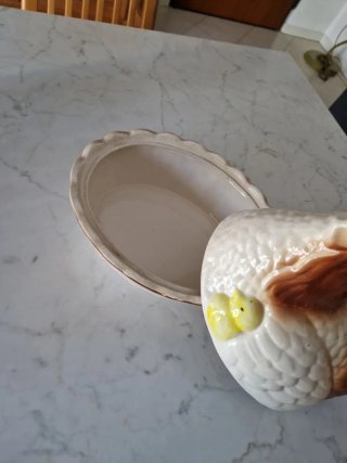 Gallina portagioie con pulcino