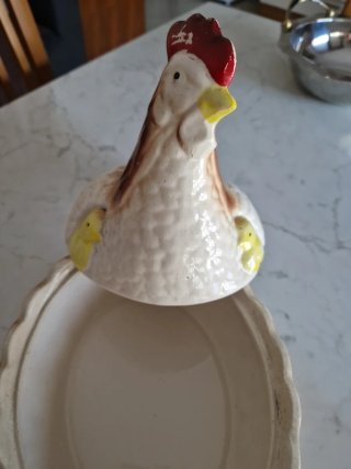 Gallina portagioie con pulcino