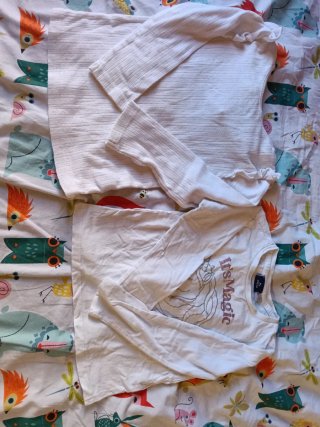 Lote Ropa Niña Talla 2/3 Años