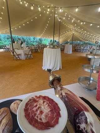 Cortador de Jamón PROFESIONAL para Eventos Murcia