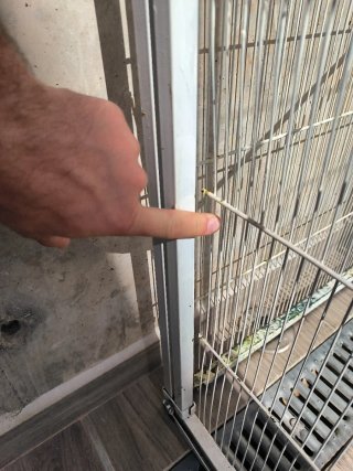 Voladero para pájaros