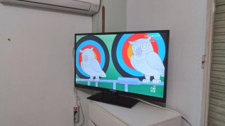 Tv 39"3hdmi ascao