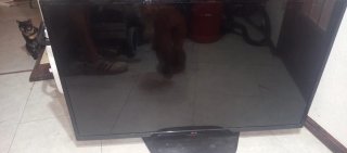 TV LG 47LN5400 para recambios Samsung UE49MU6205K