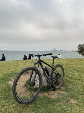Specialized Rockhopper Comp 2026