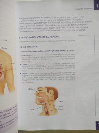 Imagen corporal y hábitos saludables